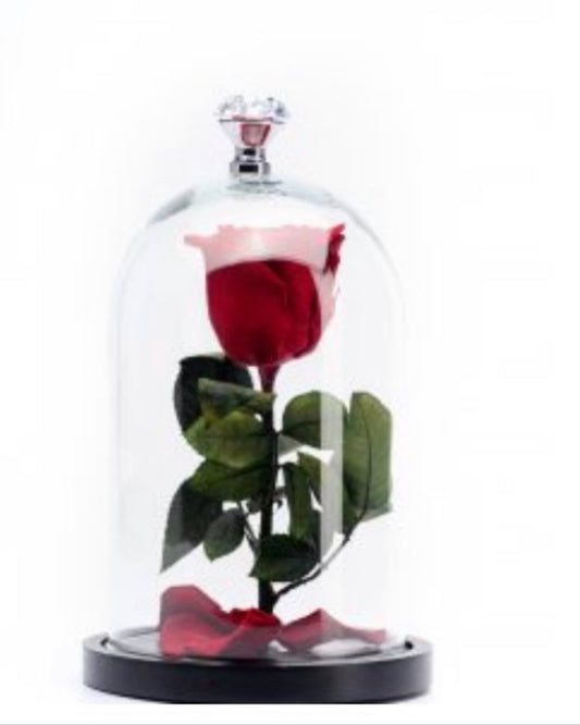 Beauty & the Beast Rose small