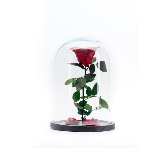 Beauty & the Beast - Diamond collection Big